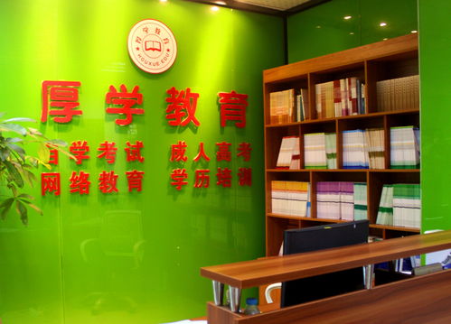 廈門厚學教育 引領藝術夢想，專業繪畫培訓賦能未來